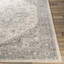 Benoit Oriental Indoor Rug-1299696423