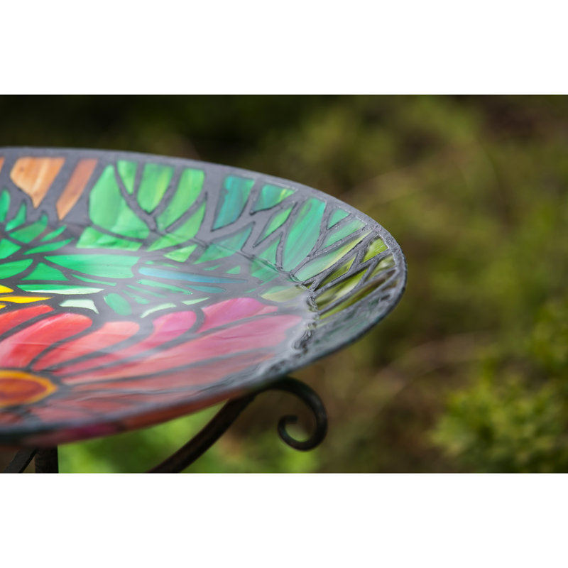 Bain d’oiseaux de l’art nouveau hummingbird