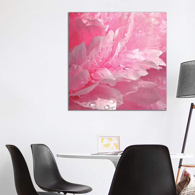 Peony With Raindrops - Wrapped Canvas Print, 93.98 cm H x 93.98 cm W x 1.91 cm D