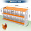 Nesting Boxes-574439446-574443018