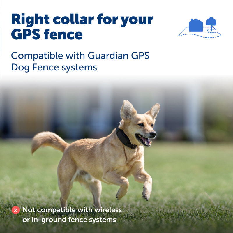 Guardian GPS Add-A-Dog Collar