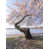 Wrapped Canvas selected