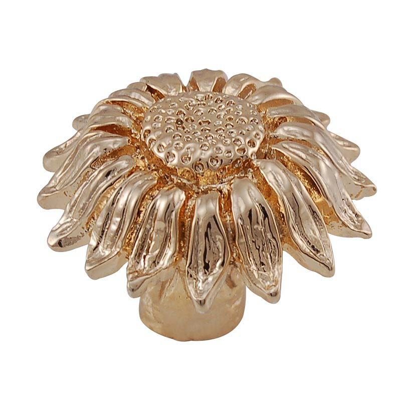 Carlotta Novelty Knob, Polished Gold