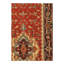 Oriental Area Rug