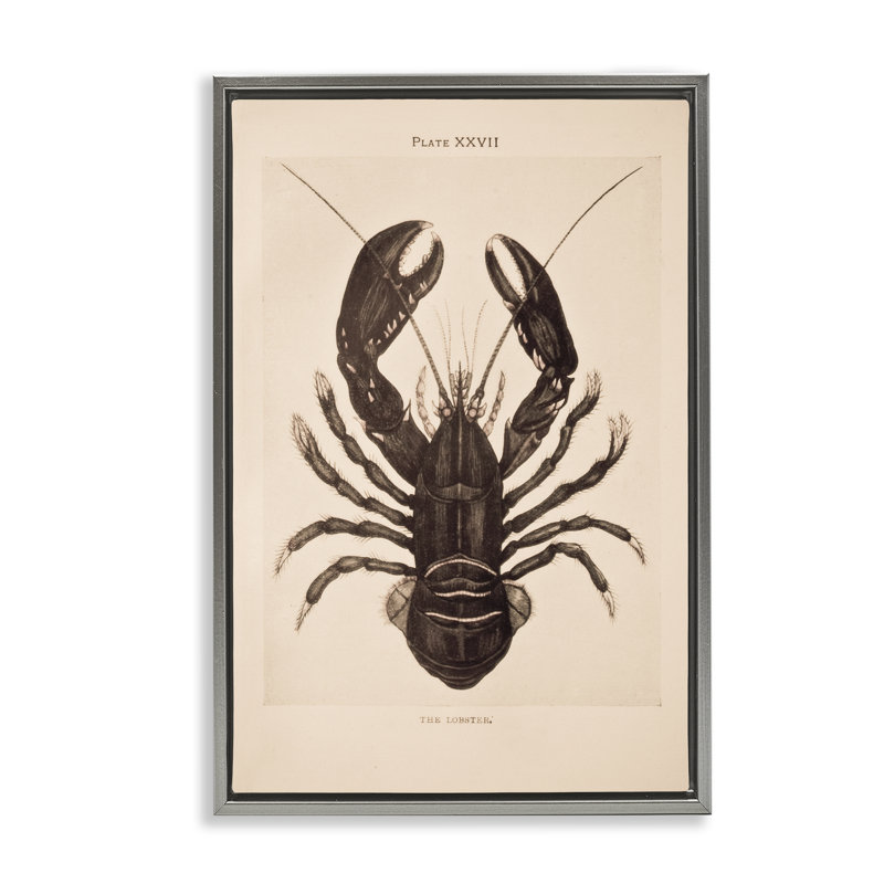 Art mural rétro sur toile flottante à motif homard, design par Deborah Revell, Cadre flottant gris lustré, H 25 po x l 17 po