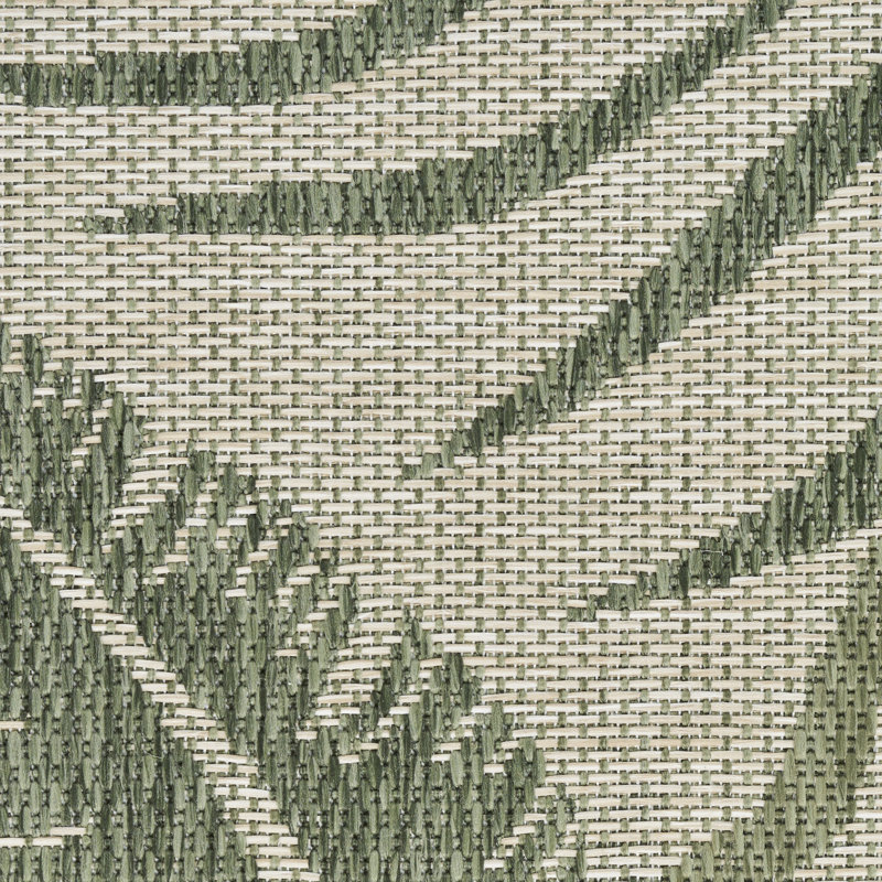Analleli Indoor/Outdoor Area Rug, Runner 2' x 8'