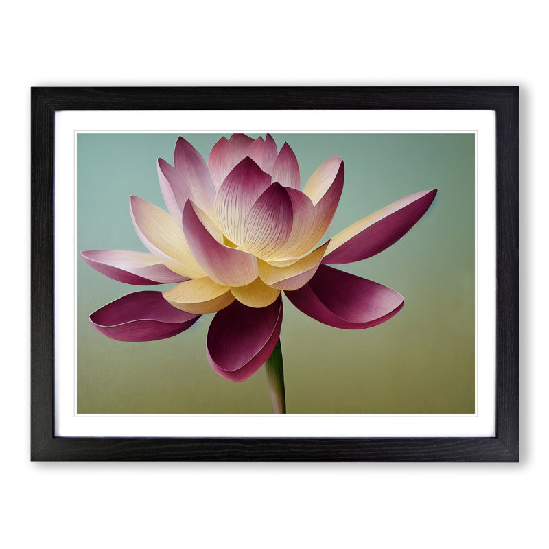 Shining Lotus Flower - Framed Print, Black, 46cm H x 64cm W x 2cm D
