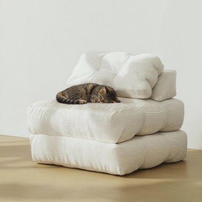 Canapé-lit pliant, fauteuil-lit et coussin