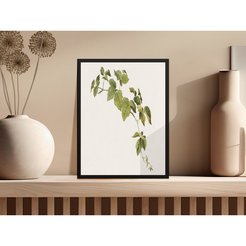 Verena Print, 20x30