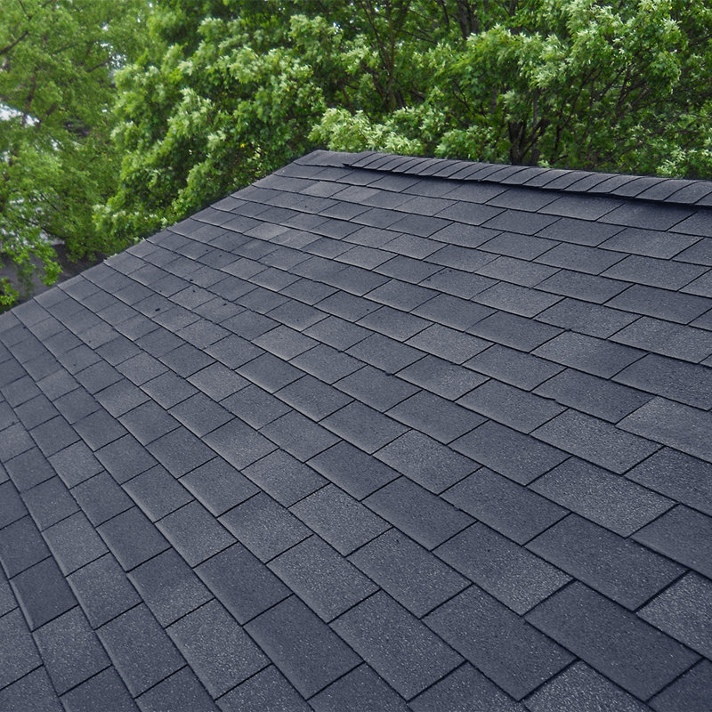 Living And Home Asphalt Roofing Kit