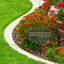 Rose Quote Oval Garden Lawn Plaque-237580194-237580207
