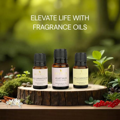 Essential Oil Set Of 3 | Velvet Musk, Vanilla Sandalwood, Red Currant & Oak - 10ml Each | Blends For Diffusers, Home Care, Candle Making Scents, Fragrance, Aromatherapy, Humidifiers
