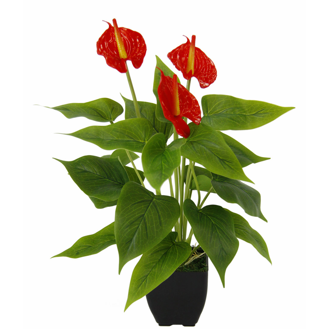 Kunstpflanze Anthurium in Topf