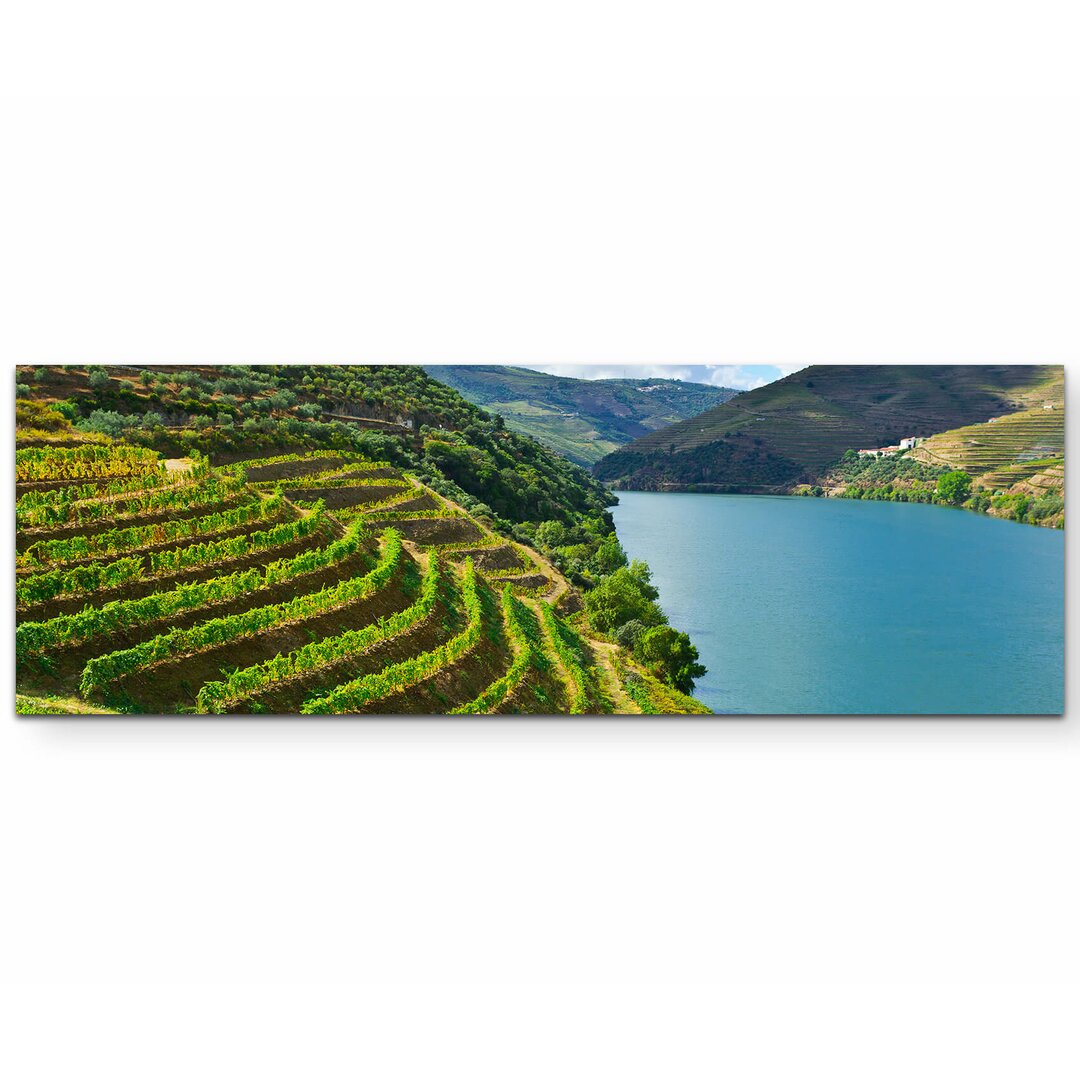 Leinwandbild Weinberge am Fluss Douro in Portugal