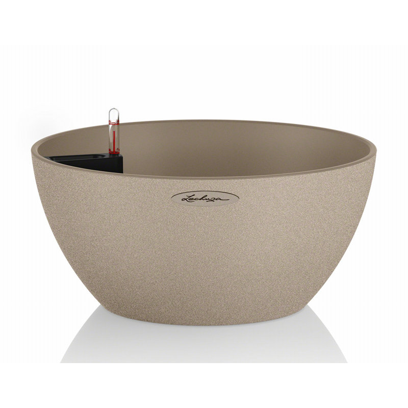 Pot Planter, Brown, 18.3cm H x 39.5cm W x 39.5cm D