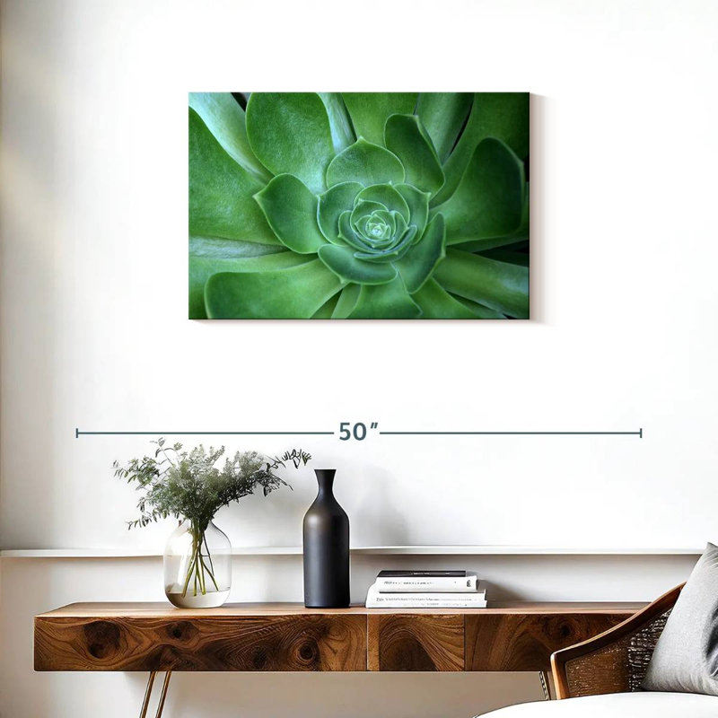 Harnek Single Succulant, 20" H x 30" W