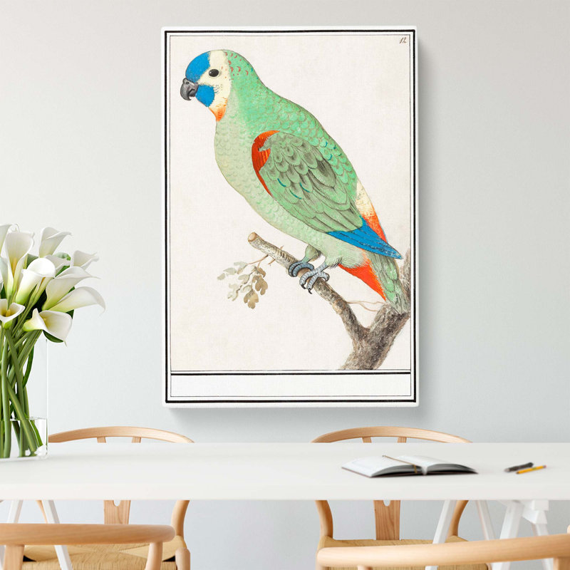 Amazon Parrot - Wrapped Canvas, 50cm H x 35cm W x 3cm D