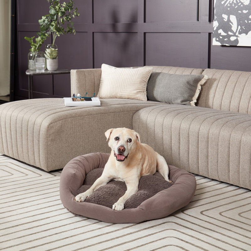 Lit pour chien Chamari Donut, Moyen (l 32 po x P 32 po x H 8 po), Gris