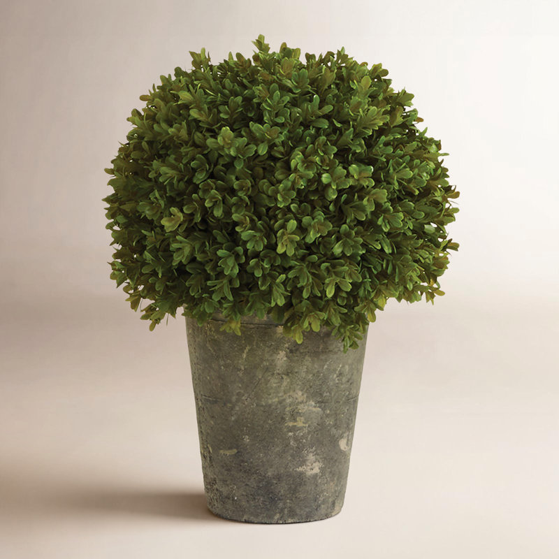 Buis artificiel en pot Cumbie 6,75 po