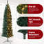 Christmas Tree-1734527849