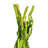 30" Amaranthus Bundle, Preserved-99849542