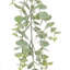 Mini buisson d'eucalyptus vert 32 po