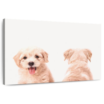 Portrait d'un chiot Brampt