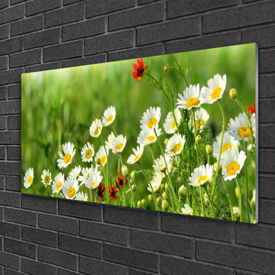 Nature Daisy 1 Piece Wall Art on Glass