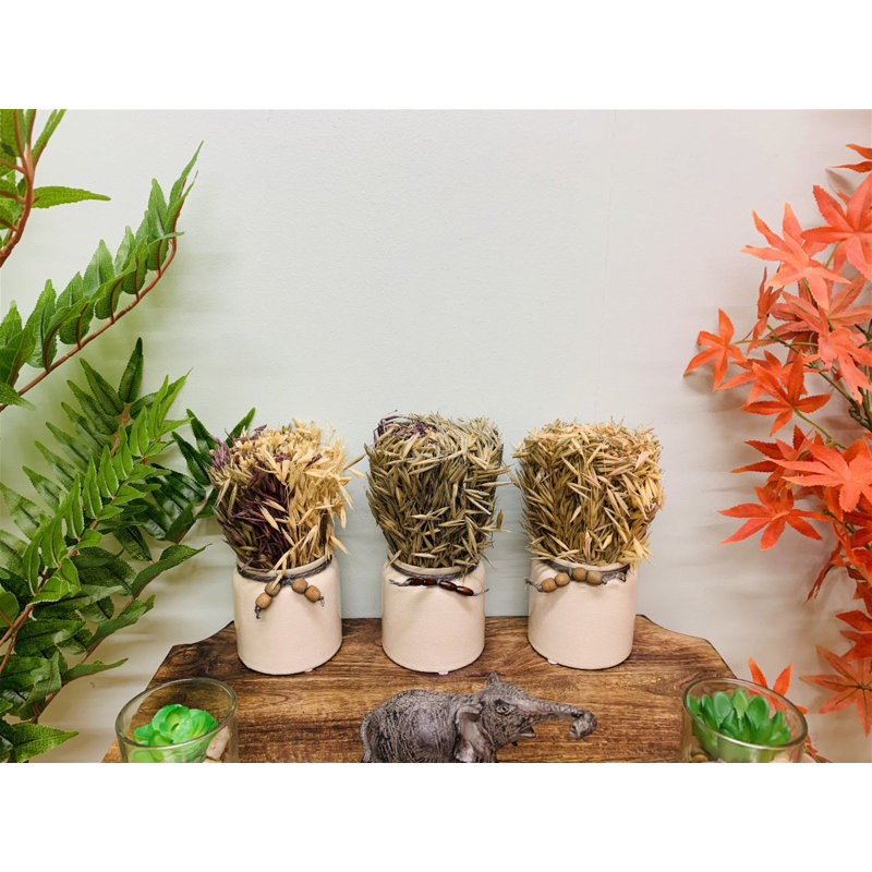 10.5cm Faux Pampas Grass Grass in Ceramic Pot
