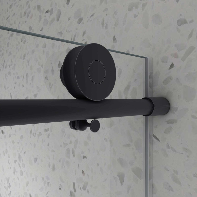 Frameless Shower Door, Black