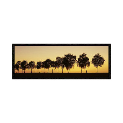 Tree alley at sunset, Hohenlohe, Baden-Wurttemberg, Germany 1 Piece Floater Frame Panoramic Wall Art on Canvas