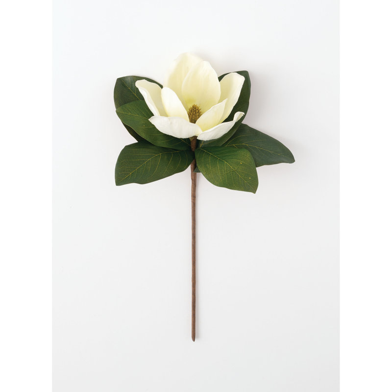 Magnolia Arrangement, 18.5" H x 11" W x 13" D