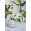 Pot à fleurs 20x8,5x29,5 "Swan