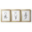 Inky Botanical I - ensemble de 3 reproductions d'art graphique-1118438678-1118438681