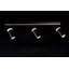 Pike Spotlight-40740907