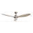 Armillda 56'' Ceiling Fan with LED Lights