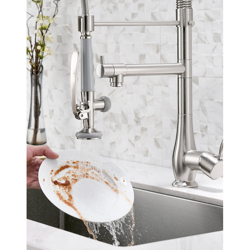 Robinet de cuisine commercial à poignée simple avec accessoires