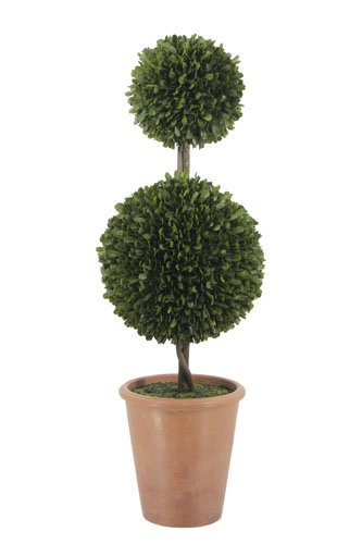 36" Double Boxwood Topiary in Pot