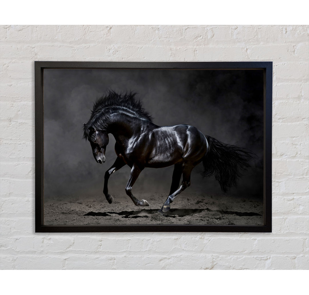 Black Beauty Horse - Einzelner Bilderrahmen Kunstdrucke auf Leinwand