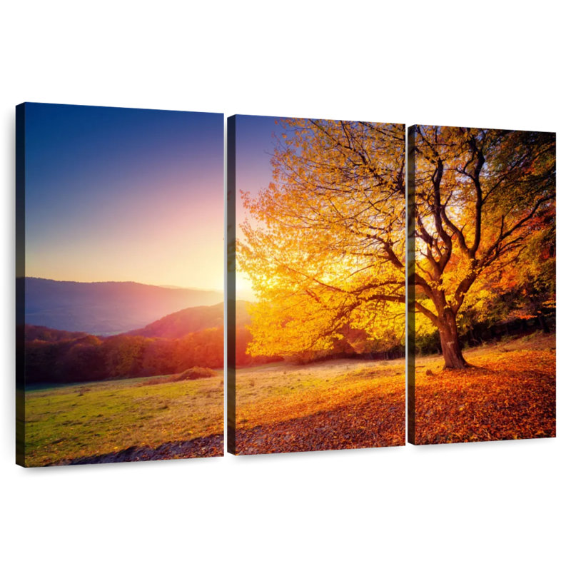 Harnek Hillside Beech Tree, 42" H x 65" W