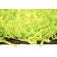 Spaghetti Solid Colour Shag Area Rug-35932918
