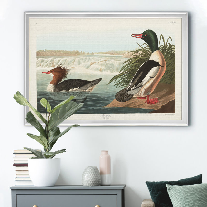 Goosander Duck - reproduction d'art sur toile, Argent, H 22,5 po x l 30,5 po x P 1,5 po