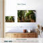 Mon imagination-173504143