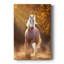 Chevaux de cheval - galerie Cavas sur mesure-1562580267