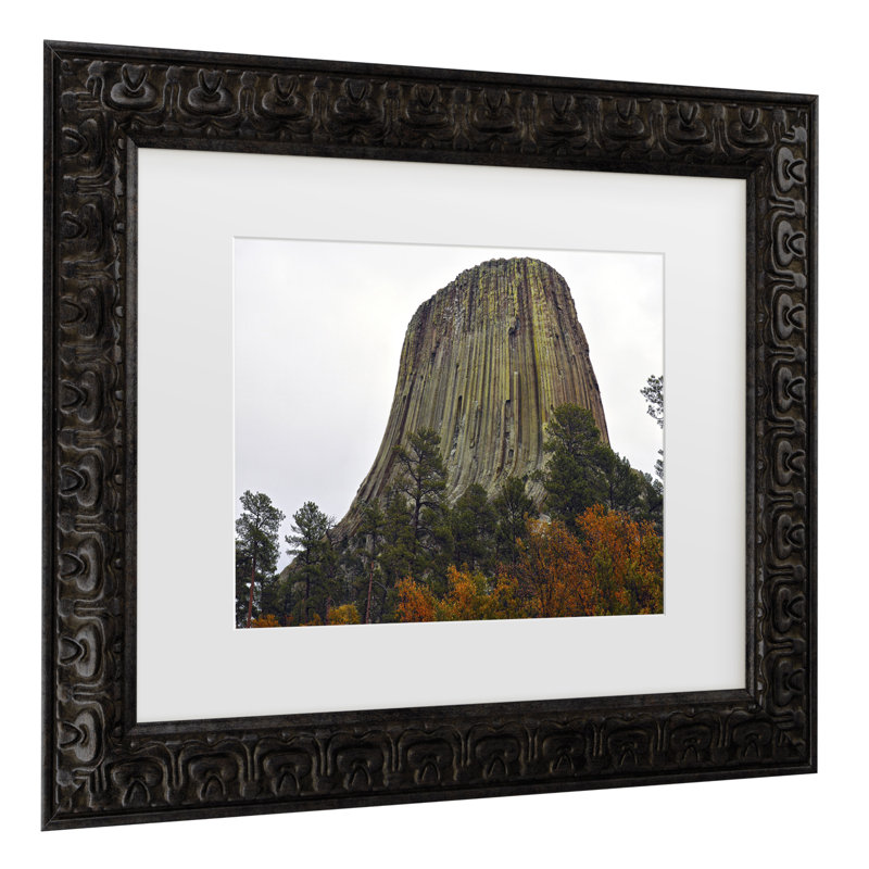 Art mural encadré - Décoration murale «Devils Tower Autumn» par Mitch Catanzaro - cadre mate, 14.5" H x 17.5" W