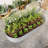 Raised Garden Bed Outdoor-937490887