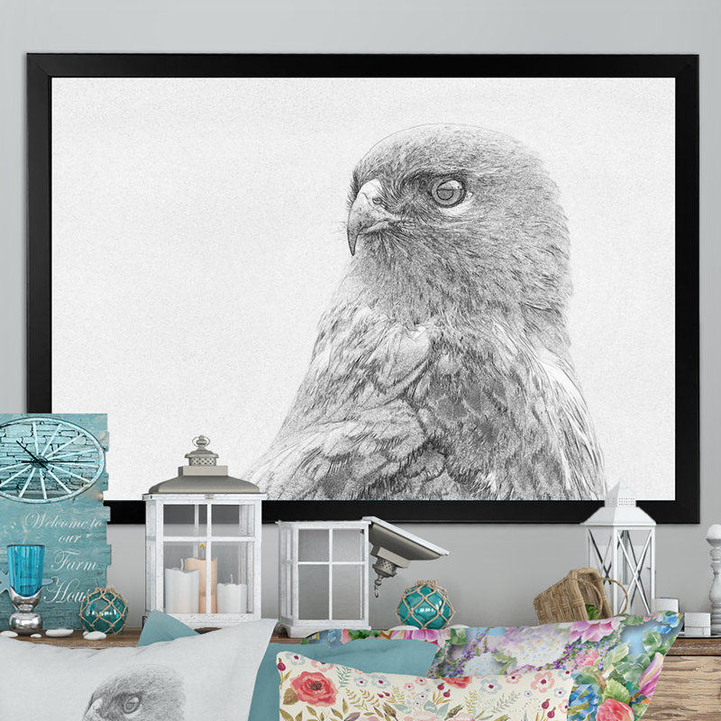 Croquis commun Buteo Buteo - impression sur toile, Cadre photo noir, H 8 po x l 12 po x P 1 po