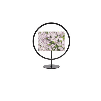 Umbra Infinity Round Photo Display, Floating Picture Frame For Desk Or Wall In Black