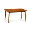 Catalina Fixed Top Table-12537919-20326622