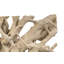 Cast Naturals Abstract Coffee Table-49891860